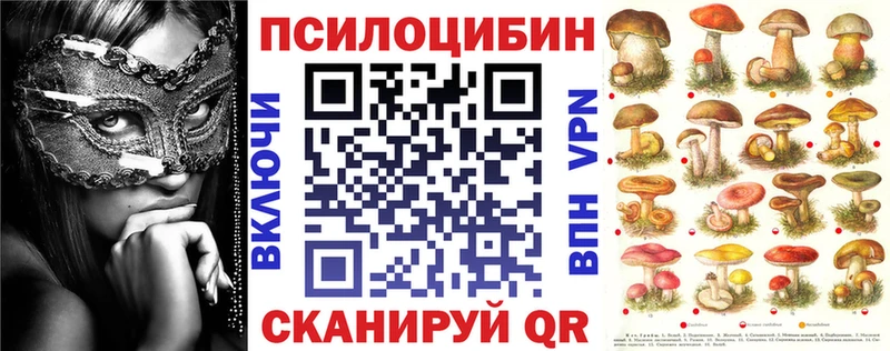 Галлюциногенные грибы Psilocybine cubensis Новоаннинский